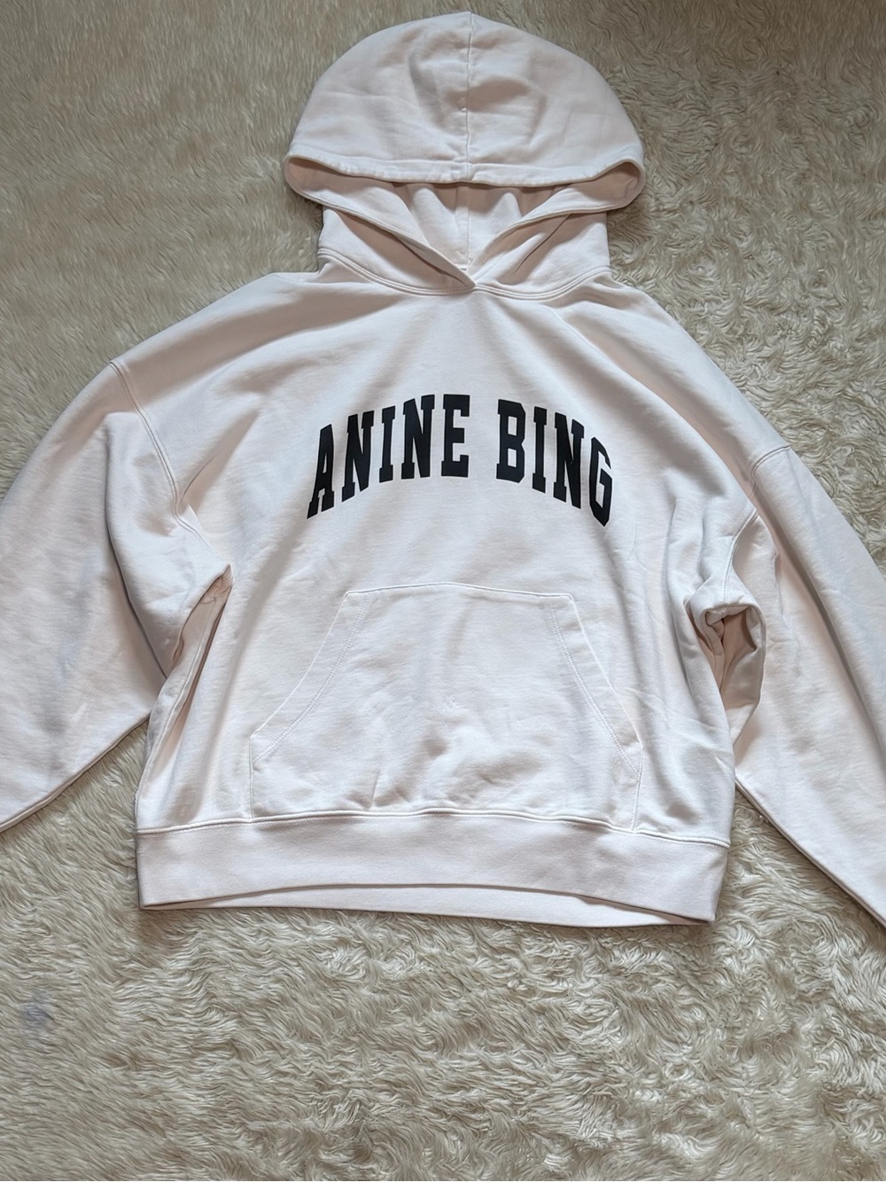 NWT Anine Bing Harvey Hooded Sweatshirt in Washed Pink - Size Large - Picture 3 of 7